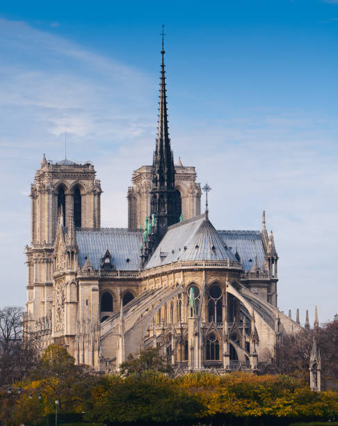 the cathedral of notre dame de paris, france - medieval autumn cathedral vertical imagens e fotografias de stock