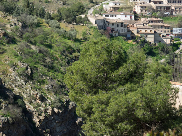 istock the city of toledo 657188342