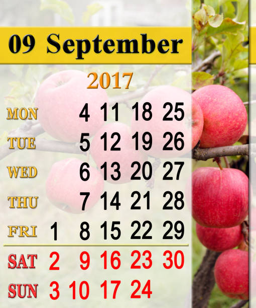 istock calendar for September 2017 year with apples 657189688