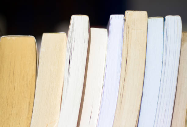 istock Row of Used Books (Close-Up) 657191920