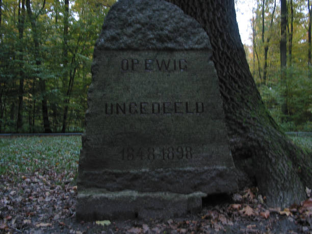 istock The Pinneberg recreation forest 