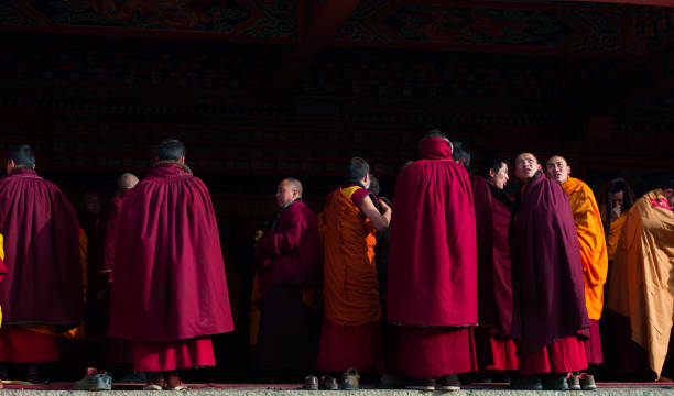 티벳 어 buddist 승려 사천 불교 대학에서 토론 - tibet monk buddhism tibetan culture 뉴스 사진 이미지