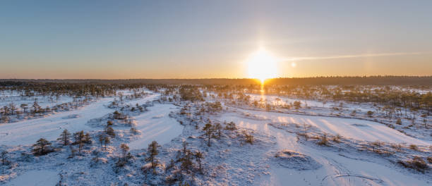 istock Panoram of frozen bog 657197384
