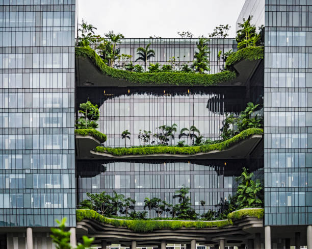 Parkroyal hotel in Singapore Designed by studio WOHA this building is known because the vertical gardens planted in the many balconies of the building. More than 15.000 square meters of lush vegetation are part of this building. This is part of the growing trend to build more sustainable buildings that have less impact on the environment.