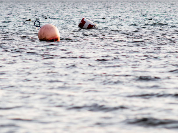istock Two red and white buoys in a Lake 657206982