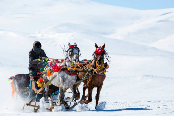 Traditional horse transport with sleigh stock photo