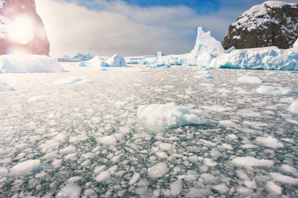 istock Slush Ice in Antartica 657214446