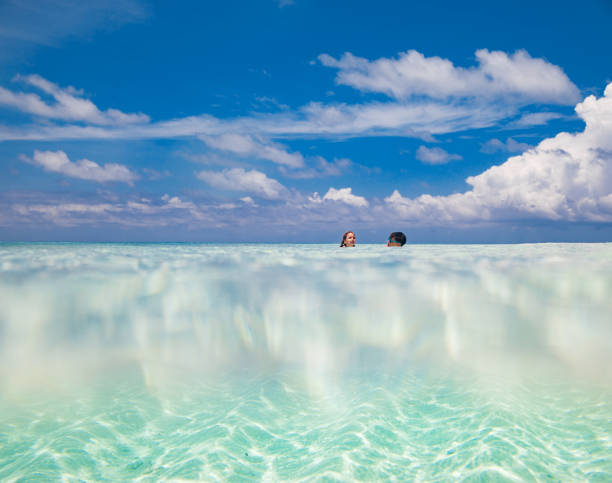 nager dans la mer tropicale - horizon over water horizontal surface level viewpoint photos et images de collection