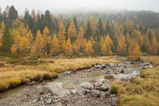 istock walking at fall in a cloudy day next to a mountain stream 657219966