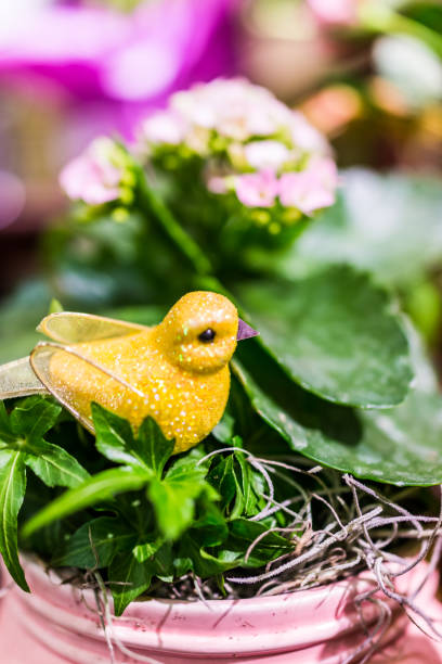 istock Yellow canary bird in potted plant decoration 657232962