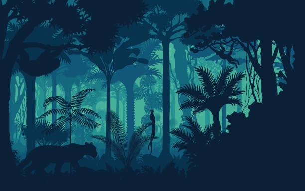 Vector evening tropical rainforest Jungle background with jaguar, sloth, monkey and qetzal Vector evening tropical rainforest Jungle background with jaguar, sloth, monkey and qetzal animals in the wild illustrations stock illustrations