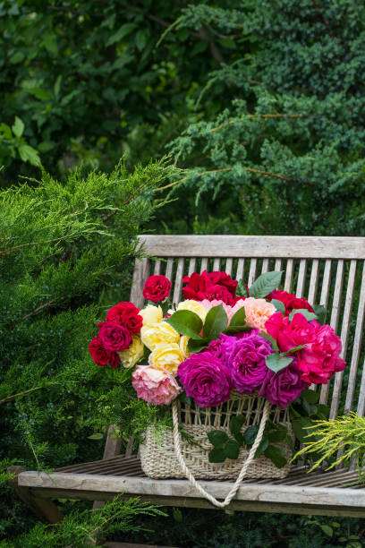 istock Basket with multi-colored roses on a bench in the summer garden. 657237512