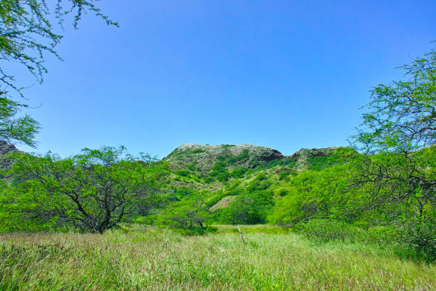 Scenery seen from the inside of Hawaii Diamond Head