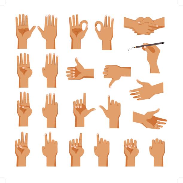 Male Hand Set of hands Men's in different gestures emotions  backhand stroke stock illustrations
