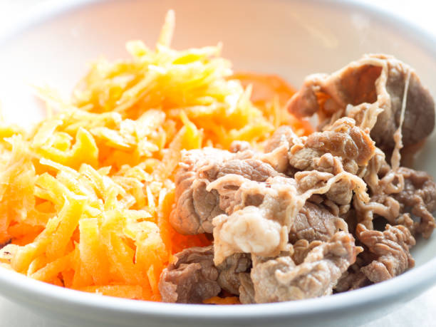 Japanese cuisine, grilled lean beef with shredded carrot salad