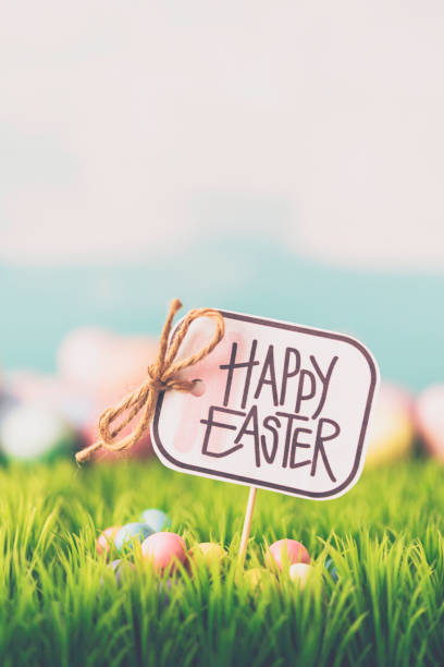 istock Handwritten Happy Easter message on sign in grass 657265898