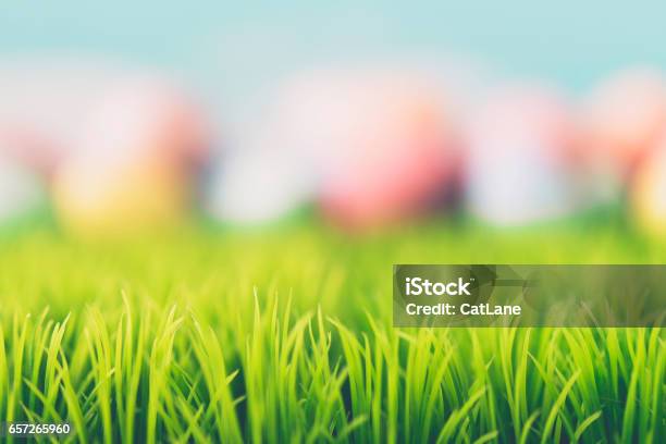 Abstract Easter Background With Hand Painted Eggs And Grass Stock Photo - Download Image Now