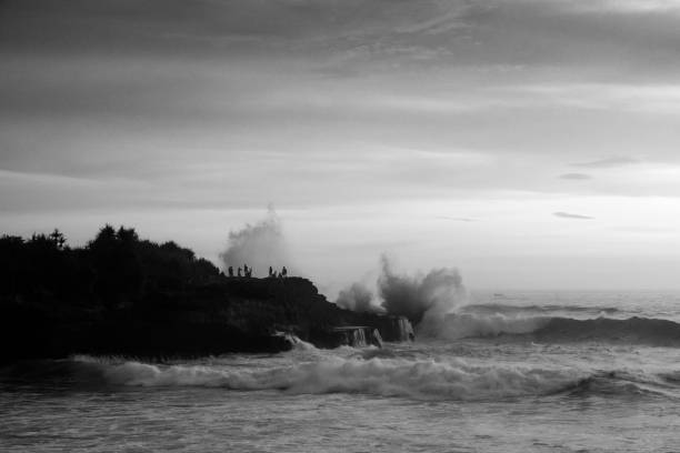 istock Waterblow in monochrome 657270758