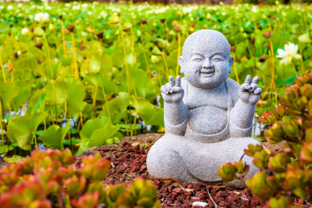 istock A smiling Buddha statue surrounded by lotus leaves 657273580