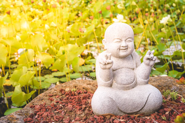 istock A smiling Buddha statue surrounded by lotus leaves 657273584