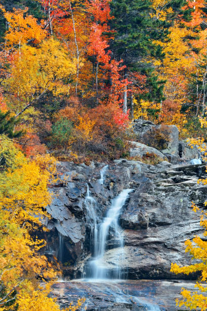 istock Colorful Autumn creek 657280578