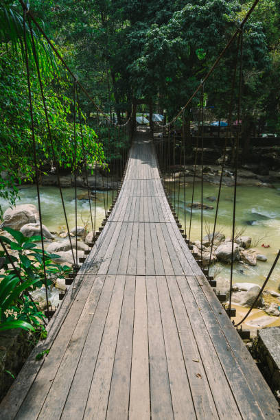 istock Rope bridge across the river in the forest 657283544