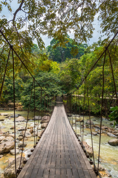 istock Rope bridge across the river in the forest 657292548