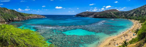 istock Hanauma bay - Hawaii - Oahu Island 657293546
