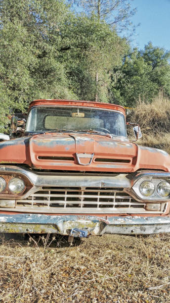 istock Abandoned Vehicle - Truck 657293548