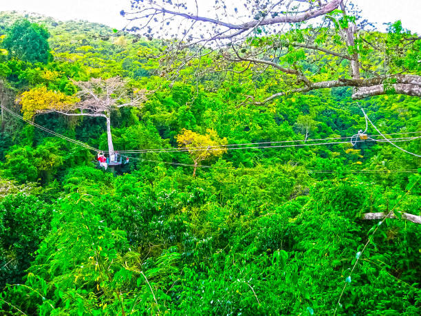 istock Woman going on a jungle zipline adventure 657304904