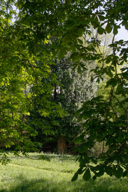 istock idyllic scenes of south germany in spring 657307784