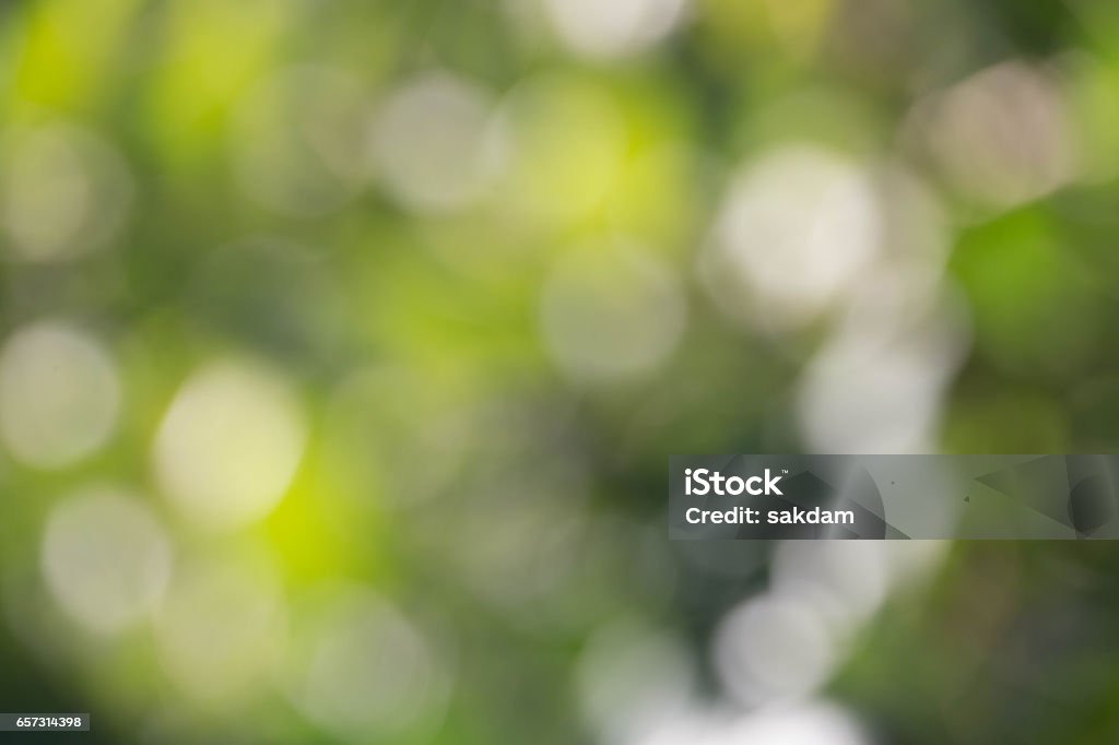 nature background blur Abstract Stock Photo