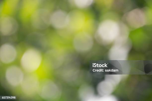 Nature Background Blur Stock Photo - Download Image Now - Abstract, Art, Backgrounds