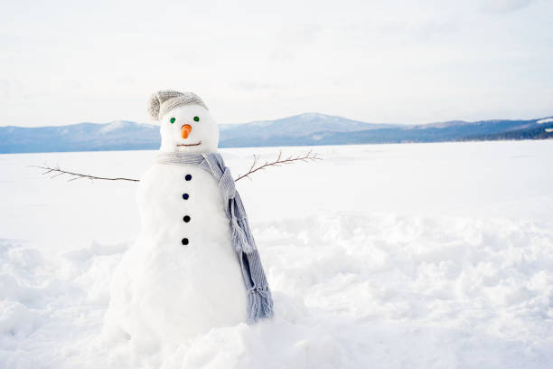 istock Snowman in a scarf and hat 657317780