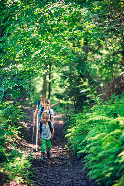 istock Family hiking in a green forest 657323994