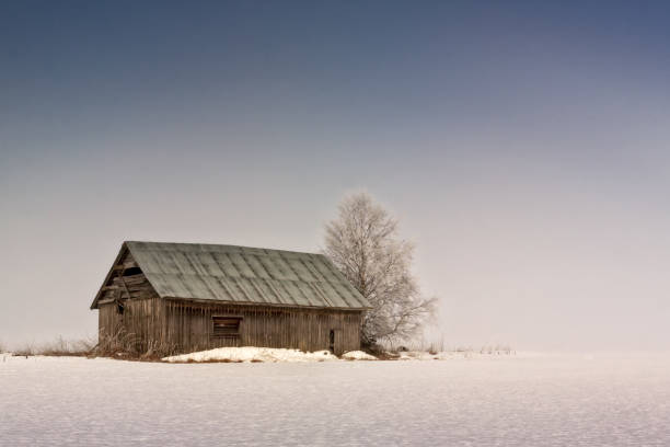 mattina nebbiosa sui campi - winter finland agriculture barn foto e immagini stock