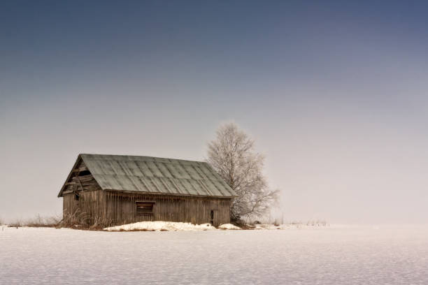 туманное утро на полях - winter finland agriculture barn стоковые фото и изображения