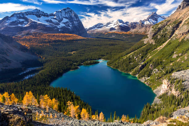 istock Lake O'Hara, Yoho National Park, Canadian Rocky Mountains 657334826