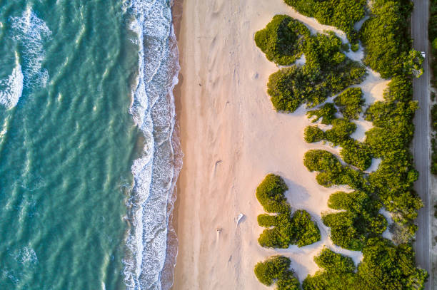 Aerial view of the Italian wild beach and waves  at sunset Aerial view of the Italian wild beach and waves  at sunset sabaudia stock pictures, royalty-free photos & images