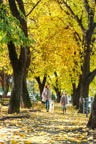 istock Enjoying in autumn colors 657338882
