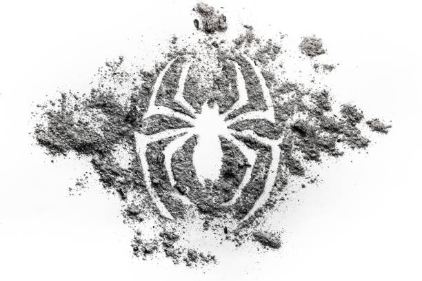Spider silhouette symbol drawing made in grey ash, dirt, dust