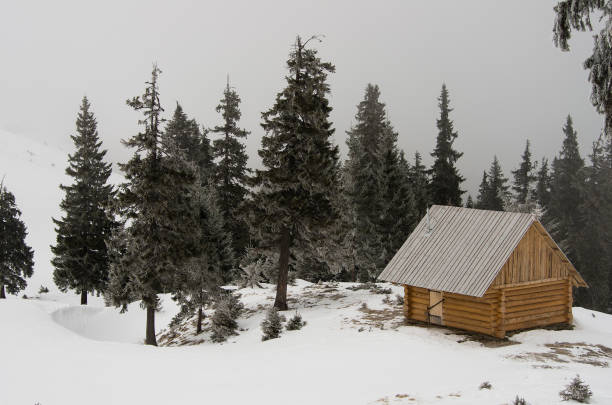 istock A wooden uninhabited hut in the mountain 657343242