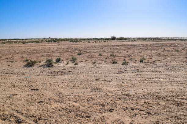 istock Road across Sahara desert 657362422