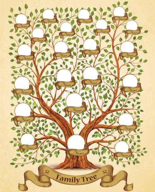 ilustraciones, imágenes clip art, dibujos animados e iconos de stock de árbol de la familia plantilla de ilustración de vectores vintage - árbol genealógico