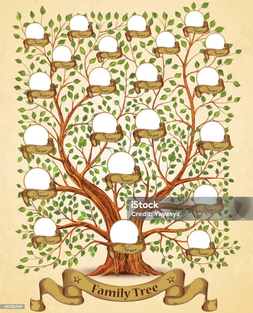 Modèle arbre généalogique illustration de vecteur Vintage - clipart vectoriel de Arbre généalogique libre de droits