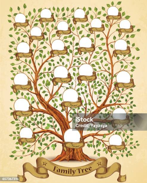 Modèle Arbre Généalogique Illustration De Vecteur Vintage Vecteurs libres de droits et plus d'images vectorielles de Arbre généalogique