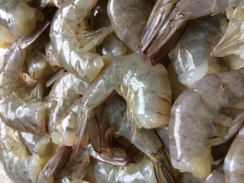 Close-up photo of fresh pieces of vannamei shrimps.