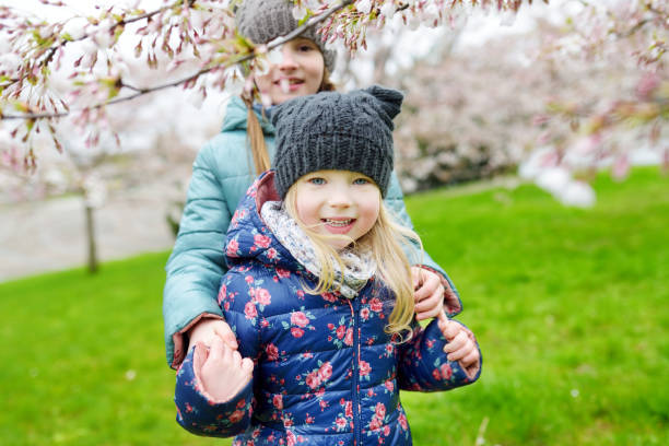 istock Two cute little sisters having fun in blooming cherry garden 657369350