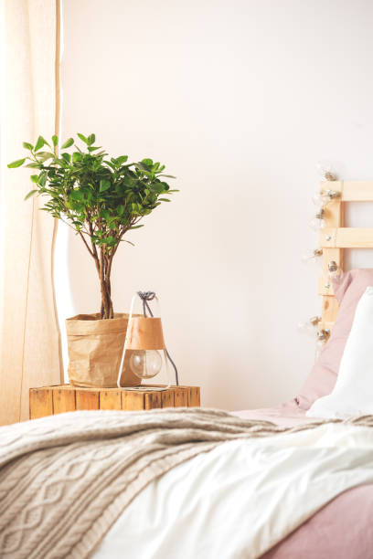 istock Nightstand with plant and lamp 657371456
