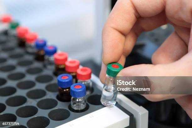 People Hand Holding A Test Tube Vial Sets For Analysis In The Gas Liquid Chromatograph Laboratory Assistant Inserting Laboratory Glass Bottle In A Chromatograph Vial Stock Photo - Download Image Now